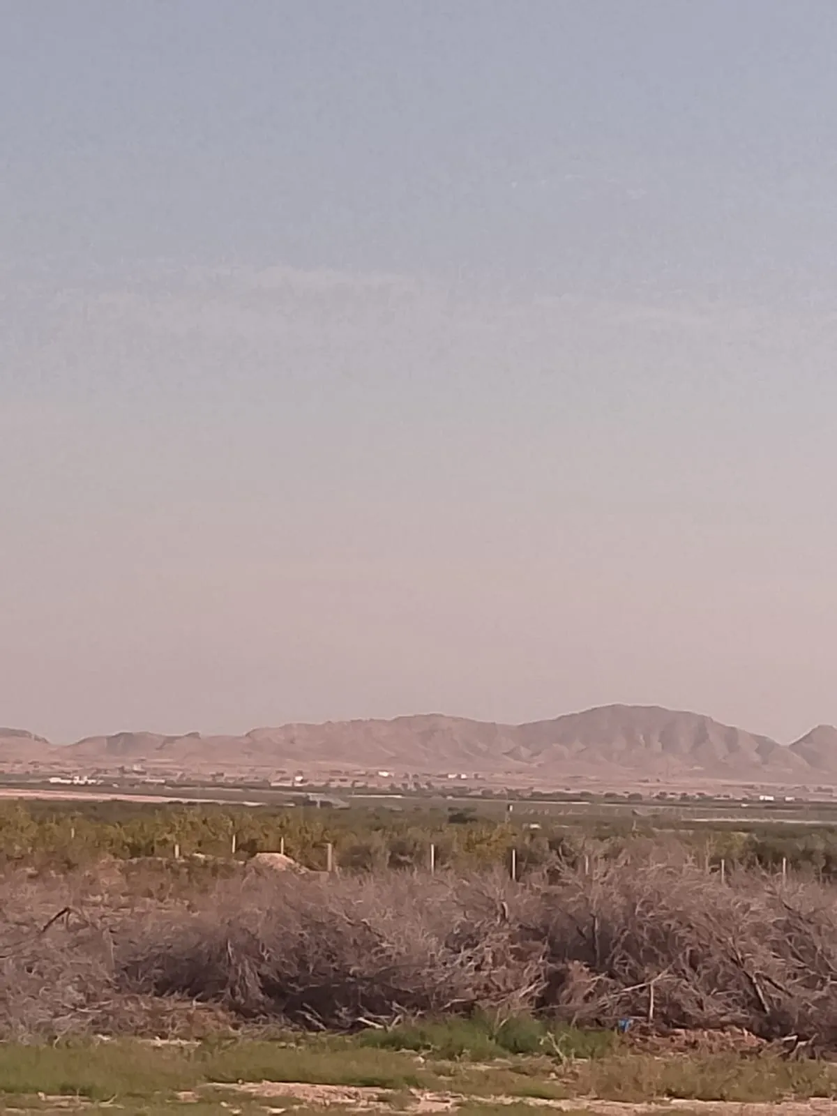  terrain agricole a sidi bouzid à Nabeul - Photo 2