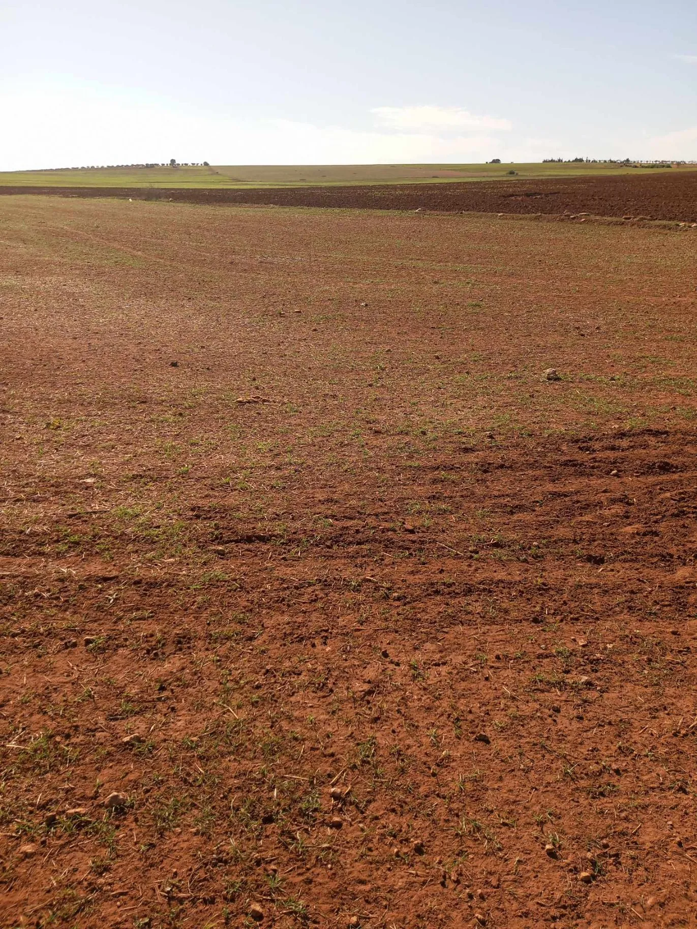  un terrain d'agricole nu a vendre situé a Jdaida Mahfoura à Manouba - Photo 3