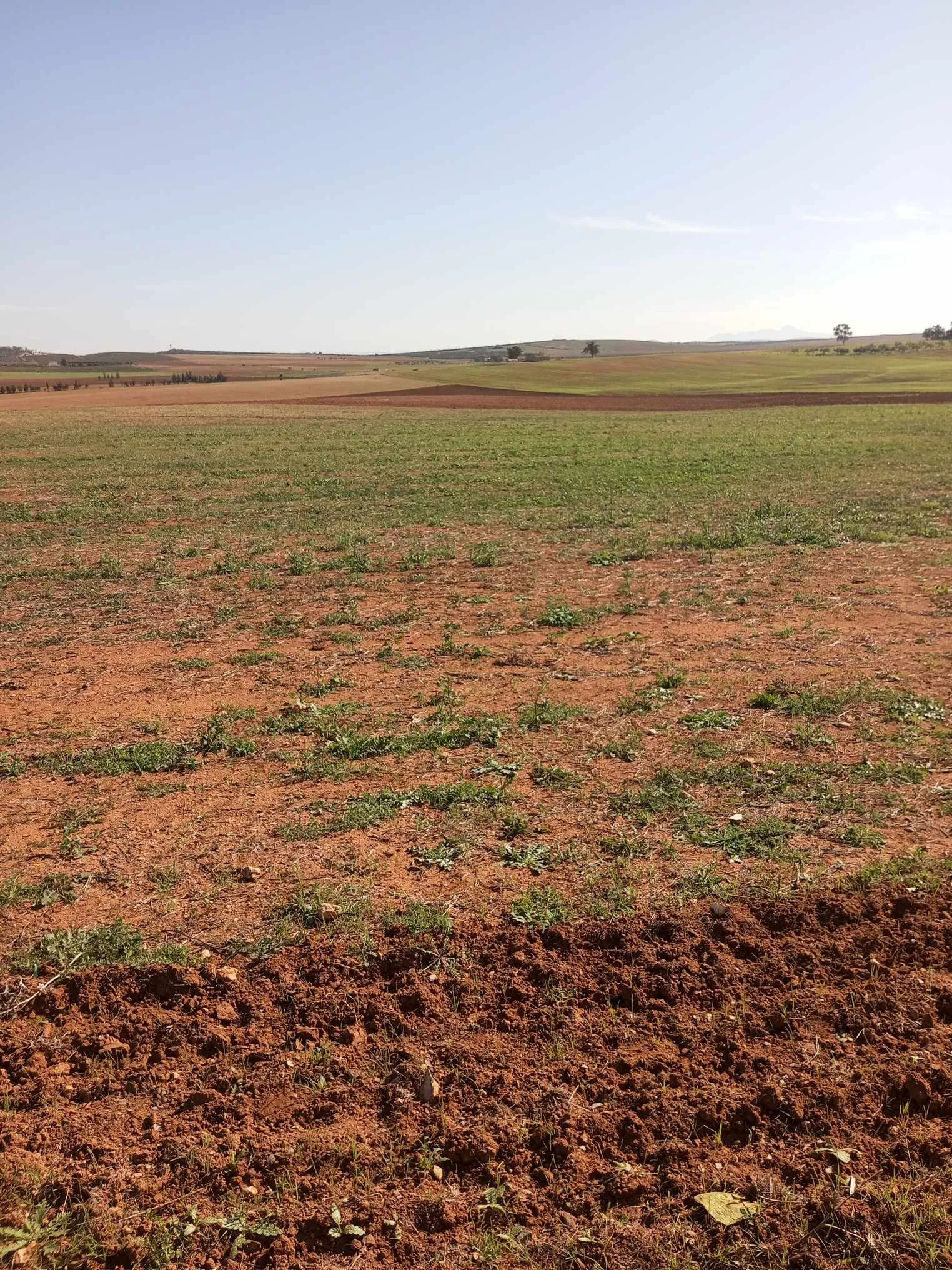  un terrain d'agricole nu a vendre situé a Jdaida Mahfoura à Manouba - Photo 2