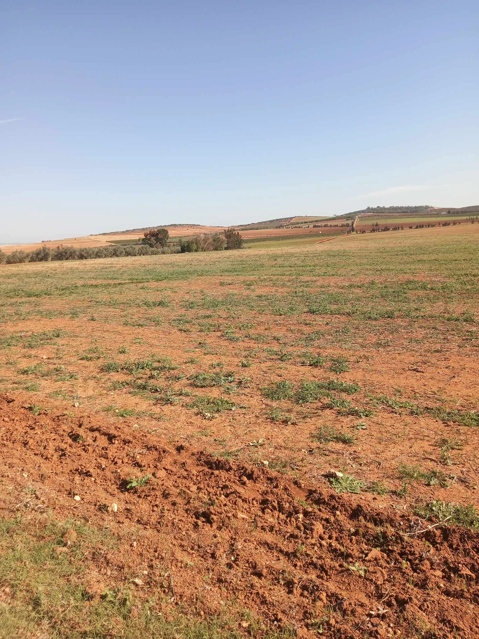  Terrain MISO 2 (Réf: T1467) 