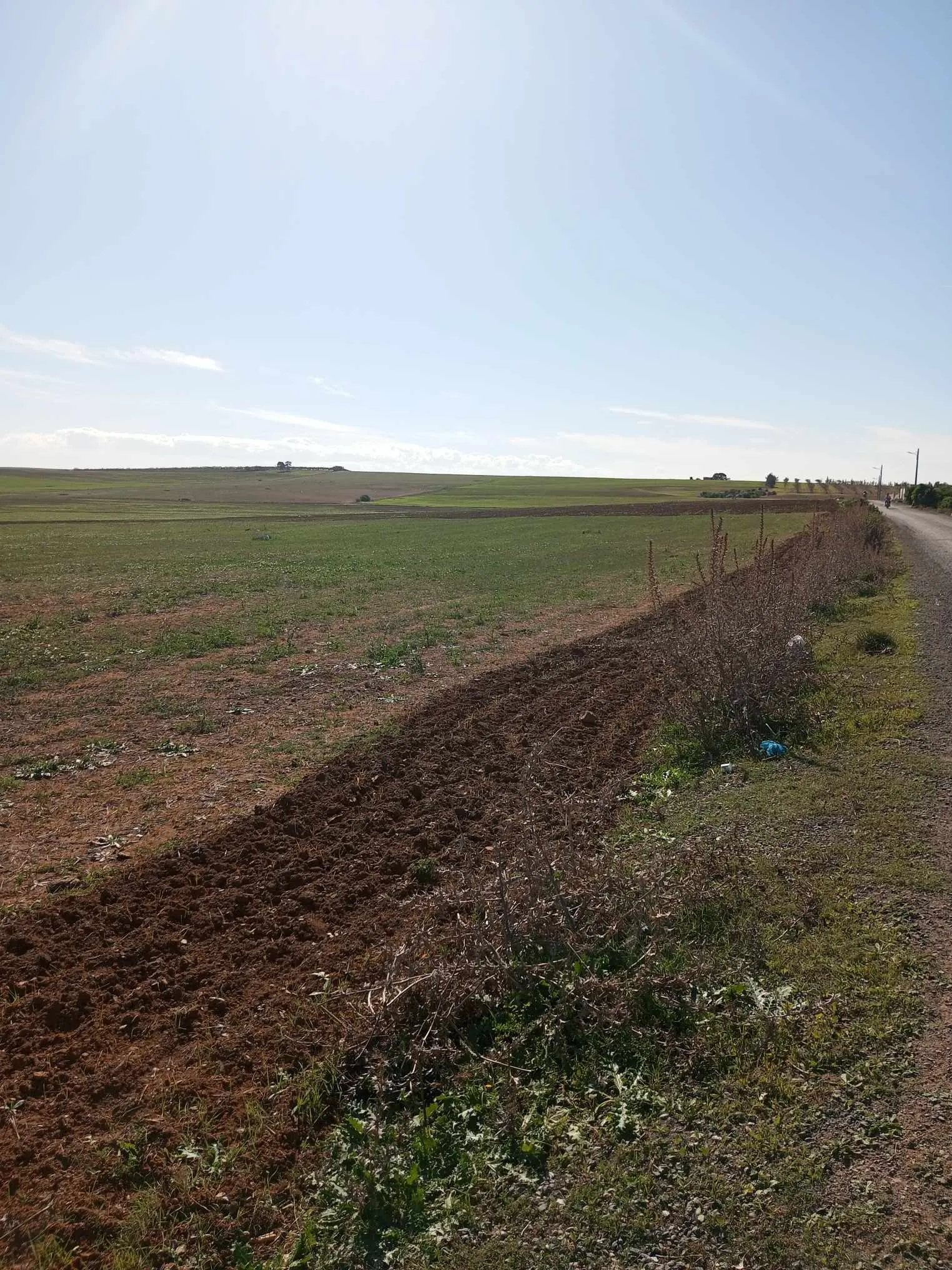  un terrain d'agricole nus a vendre situé a Jdaida Mahfoura. à Manouba - Photo 3