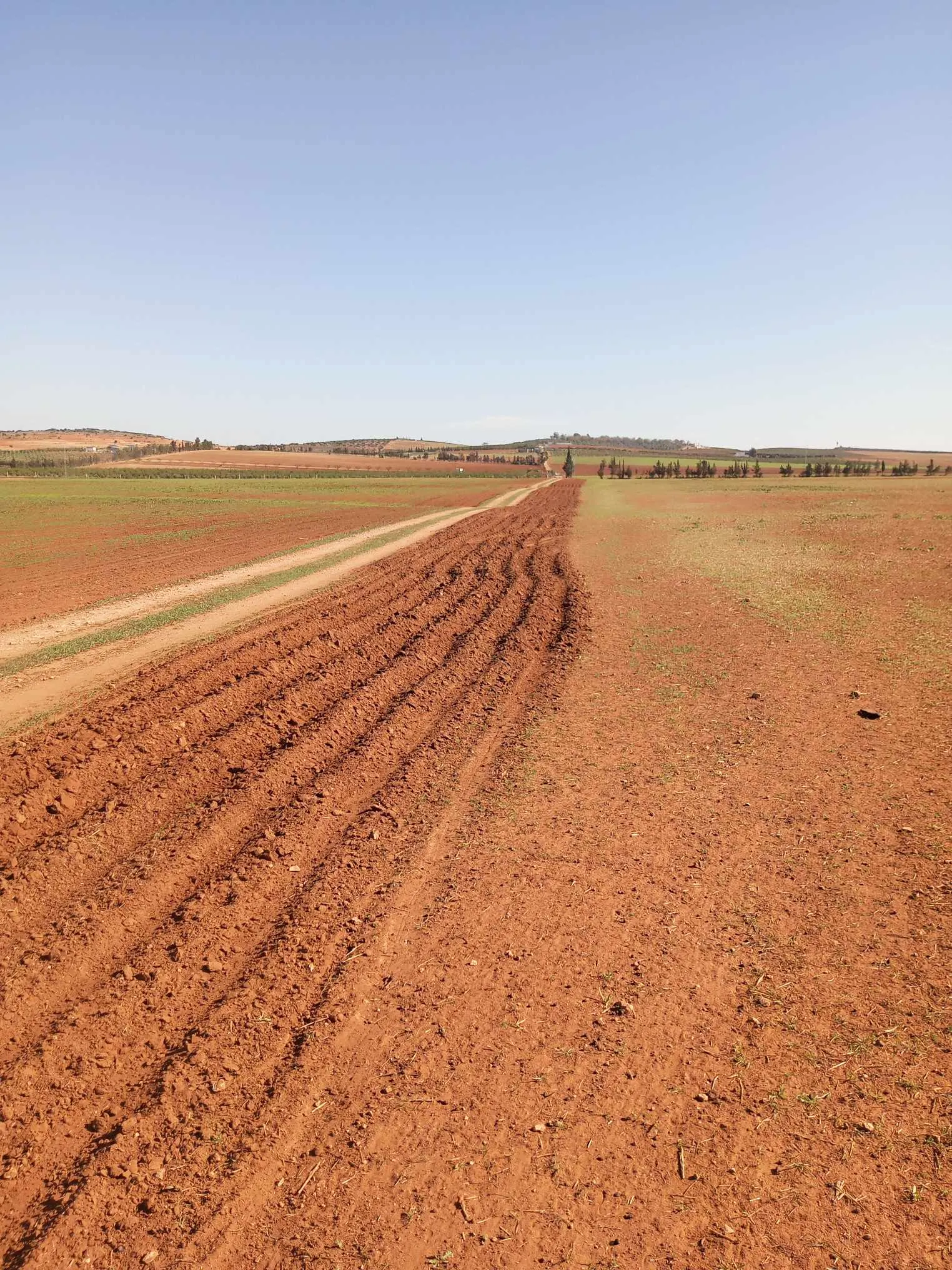  un terrain d'agricole nu a vendre situé a Jdaida Mahfoura à Manouba - Photo 3