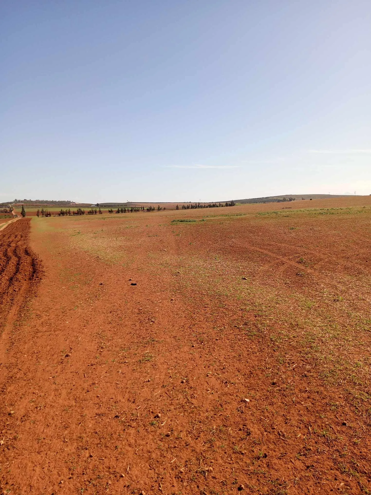  un terrain d'agricole nu a vendre situé a Jdaida Mahfoura à Manouba - Photo 2