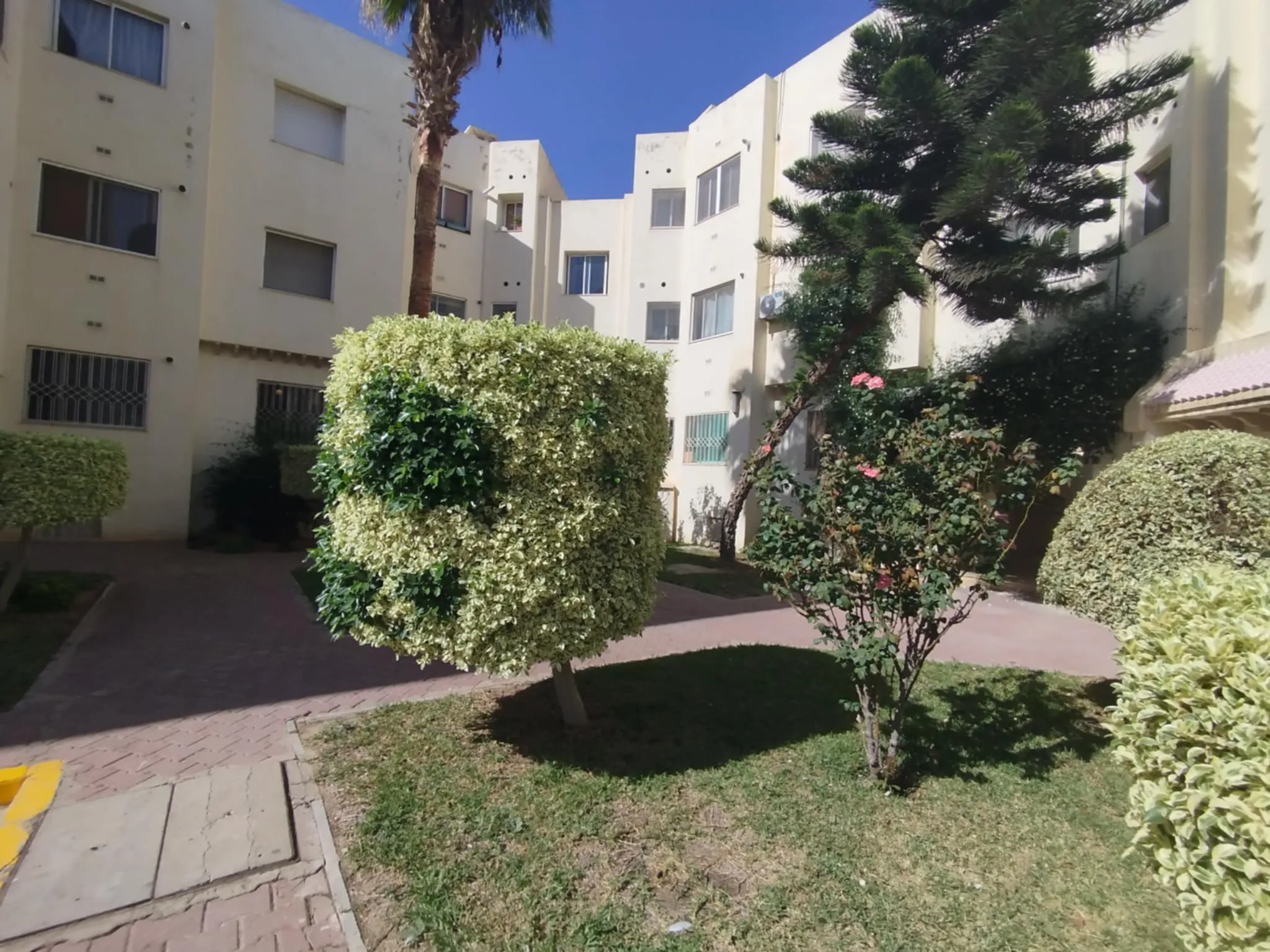  Terrain a vendre cote l'hotel Afriva Jaad Korba 