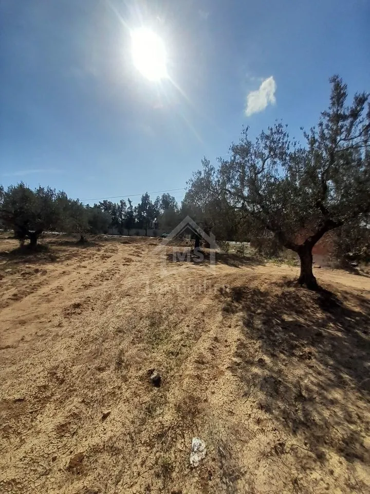  Terrain de 200 m² sur la route principale à Hammamet Sud à vendre 51355351 à Nabeul - Photo 3