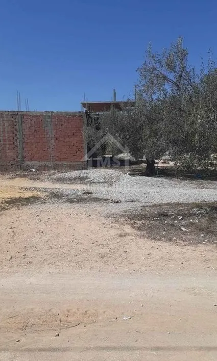  Lot de terrain de 250 m² à Hammamet Sud à vendre 51355351 à Nabeul - Photo 3