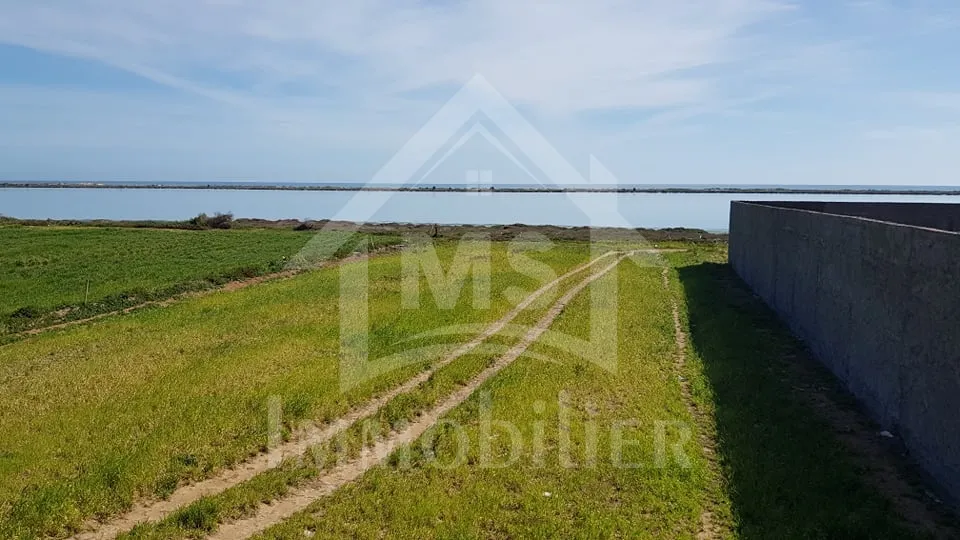  A vendre à Korba, un terrain pieds dans l'eau 51355351 à Nabeul - Photo 3
