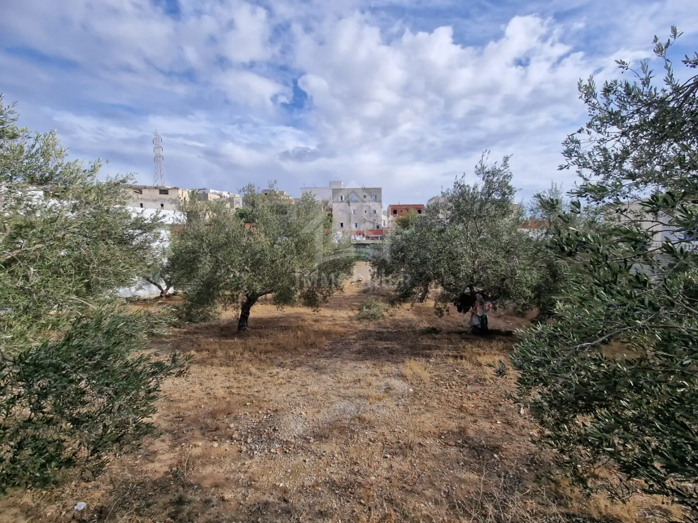 Terrain clôturé de 658 m² à Hammamet Nord à vendre 51355351 à Nabeul - Photo 2