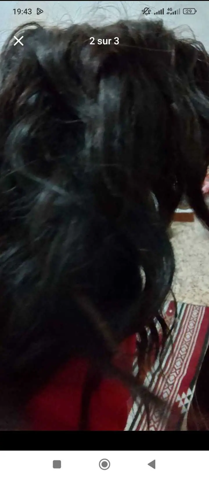  ساعة 