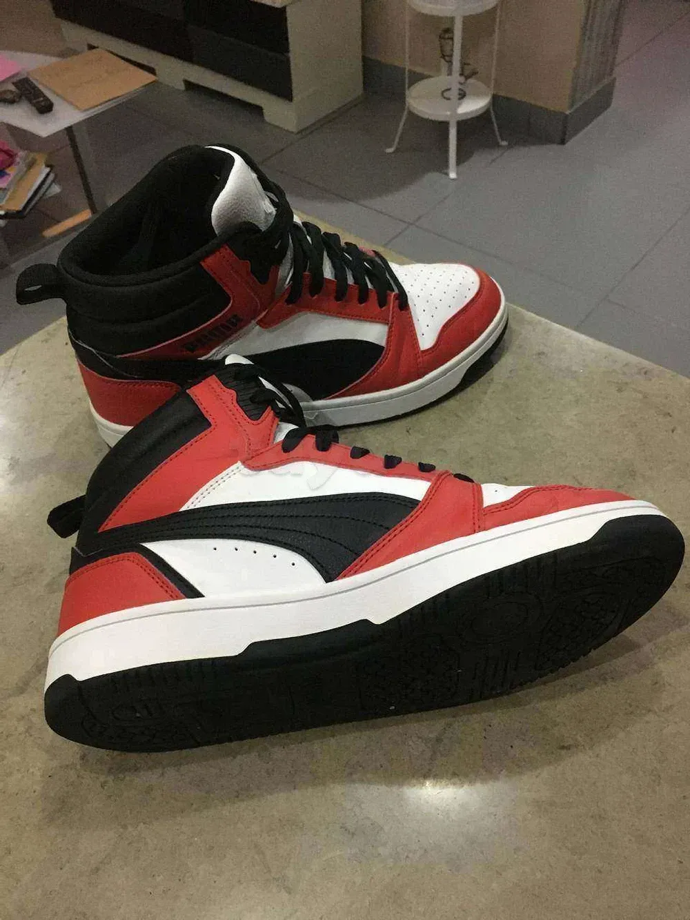  puma à Tunis - Photo 2