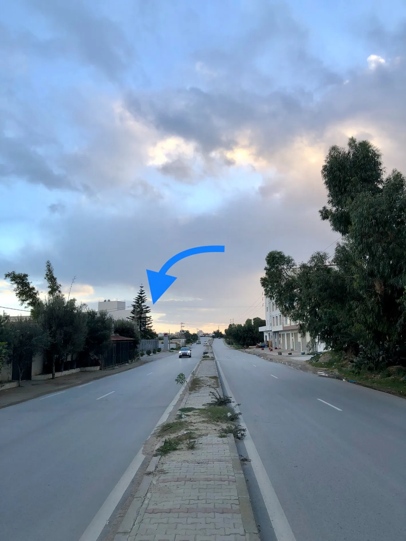  أرض بفضاء هادئ و موقع استراتيجي بالحمّامات à Nabeul - Photo 2