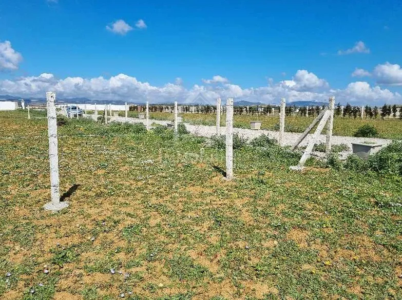  Terrain clôturé de 1000 m² à vendre à 110 MD à Hammamet Sud 51355351 à Nabeul - Photo 2