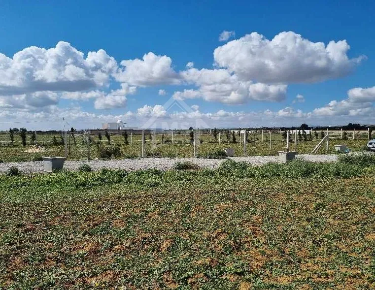  Terrain clôturé de 1000 m² à vendre à 110 MD à Hammamet Sud 51355351 à Nabeul - Photo 3