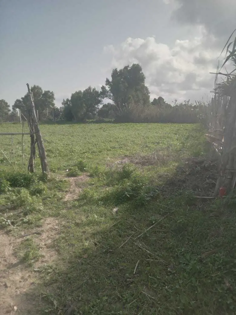    S2 meublé a soukra 100 d