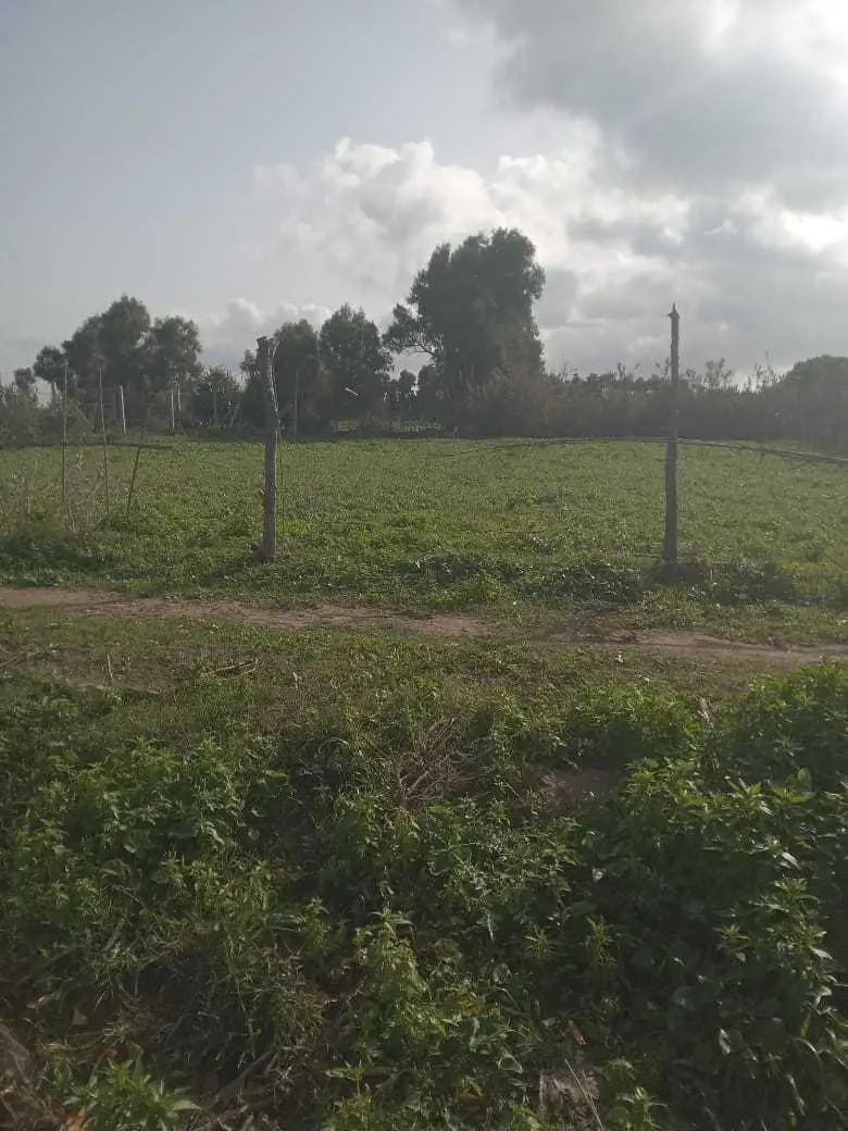  Terrain à Bizerte - Photo 2
