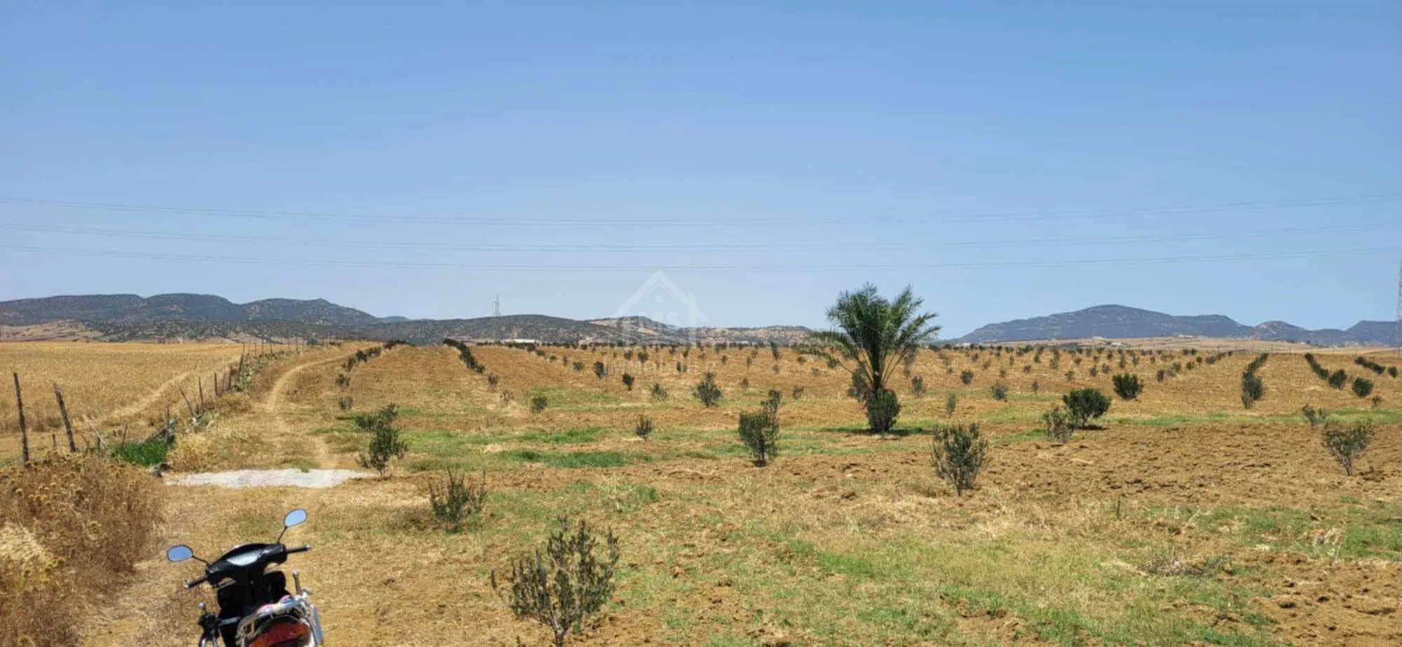  6.5 hectares avec une maison à vendre à Hammamet Sud51355351 à Nabeul - Photo 2
