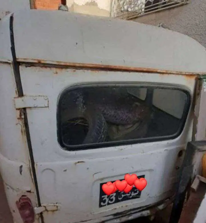  Ford Escort 