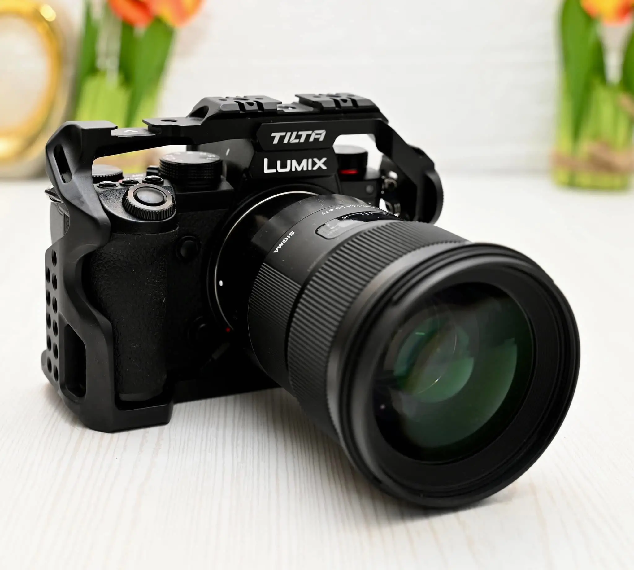  lumix s5 à Ariana - Photo 2