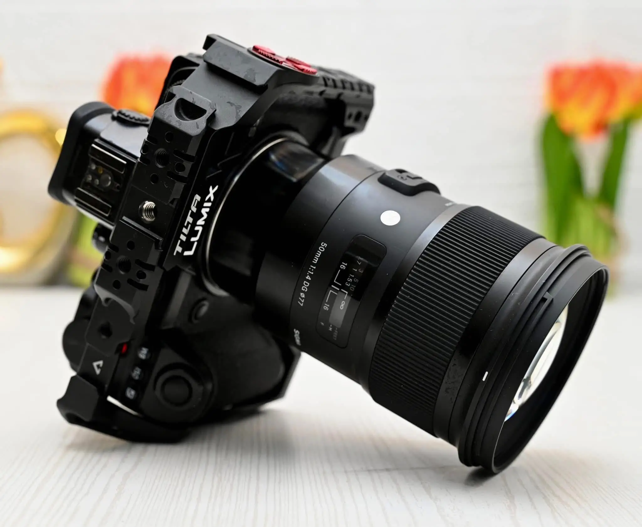  lumix s5 à Ariana - Photo 3