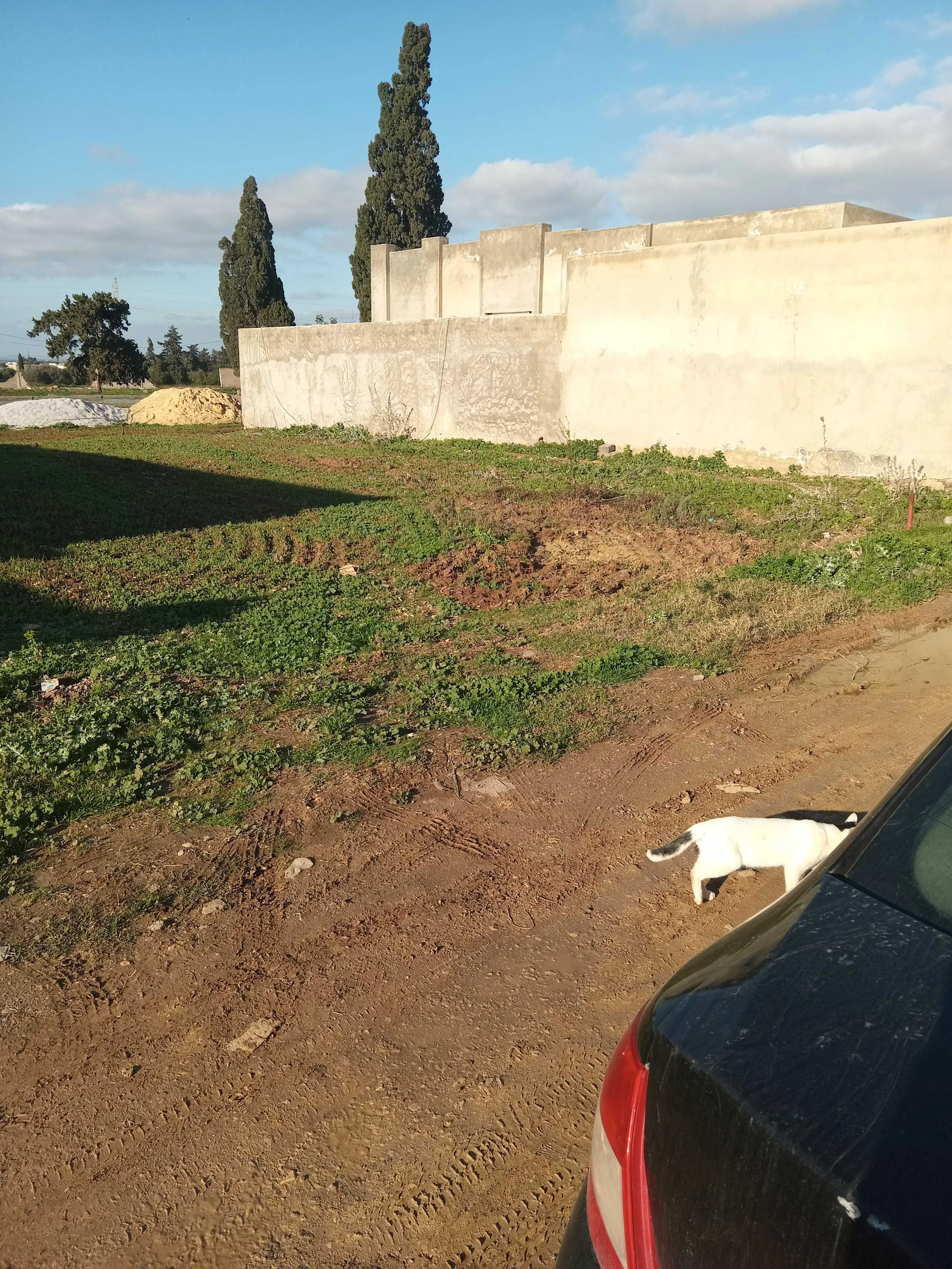  Un bon emplacement à Ariana - Photo 3
