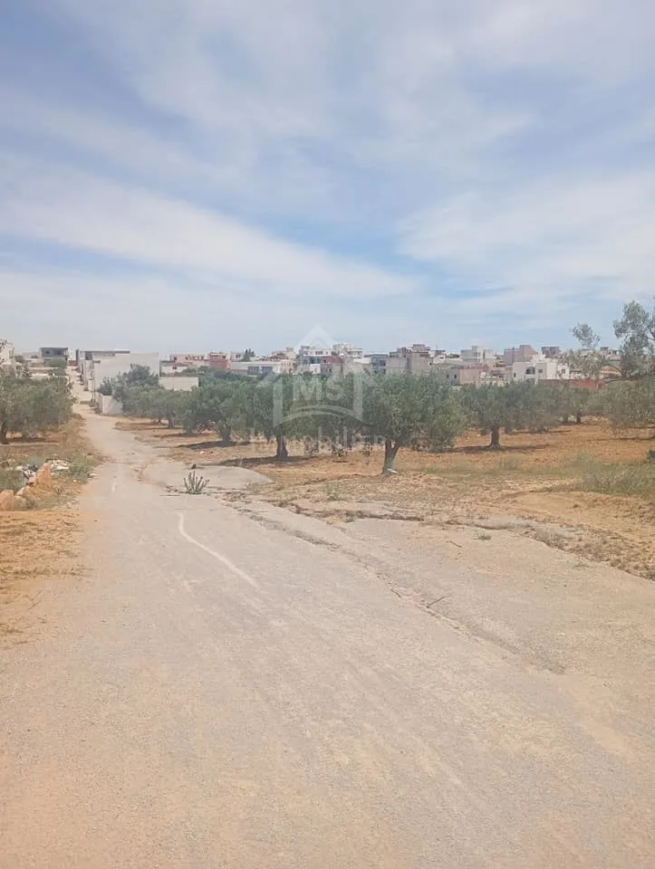  Terrain de 2000 m² à Hammamet Sud à vendre 51355351 à Nabeul - Photo 2