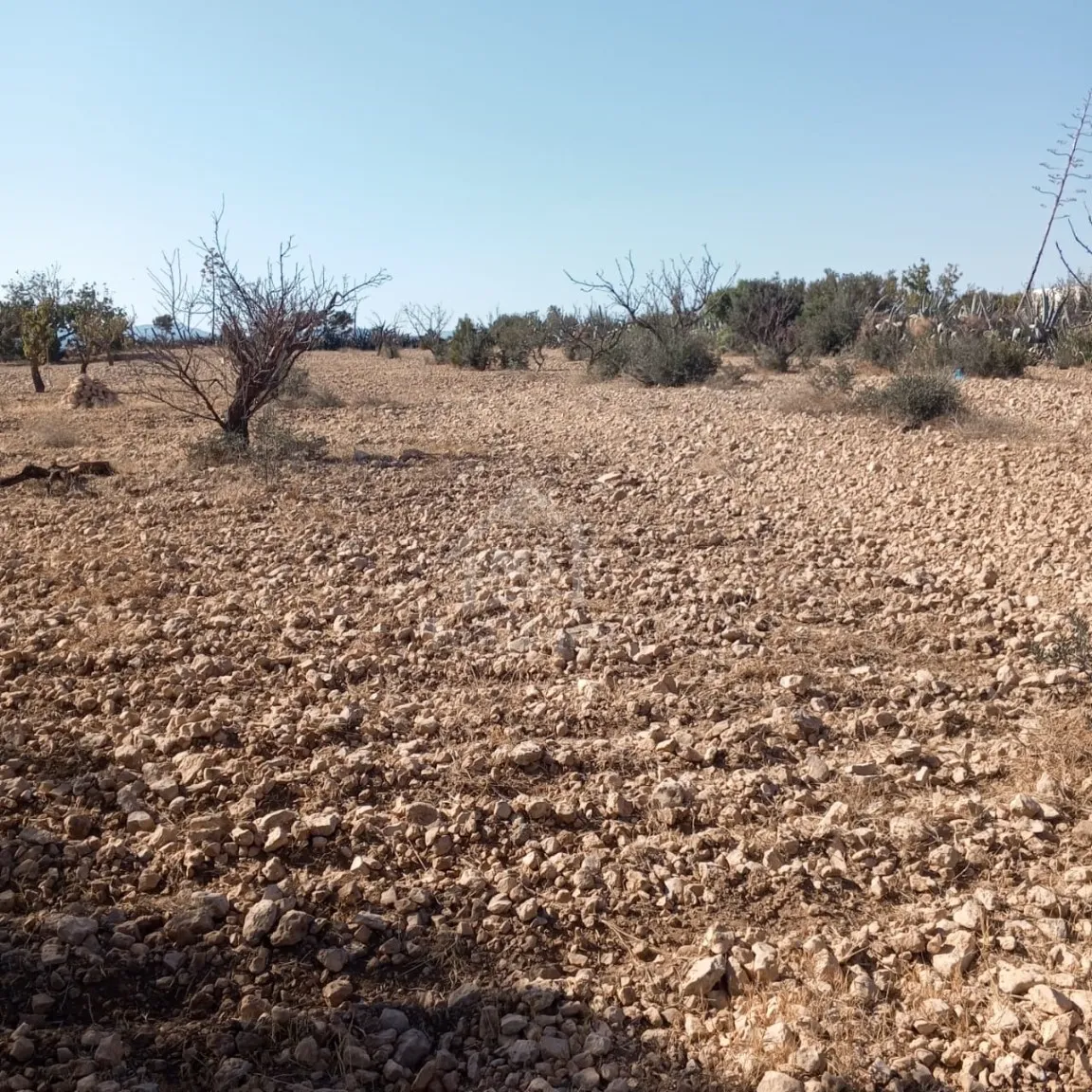  Terrain de 1282 m² à Hammamet Sud à vendre 51355351 à Nabeul - Photo 2