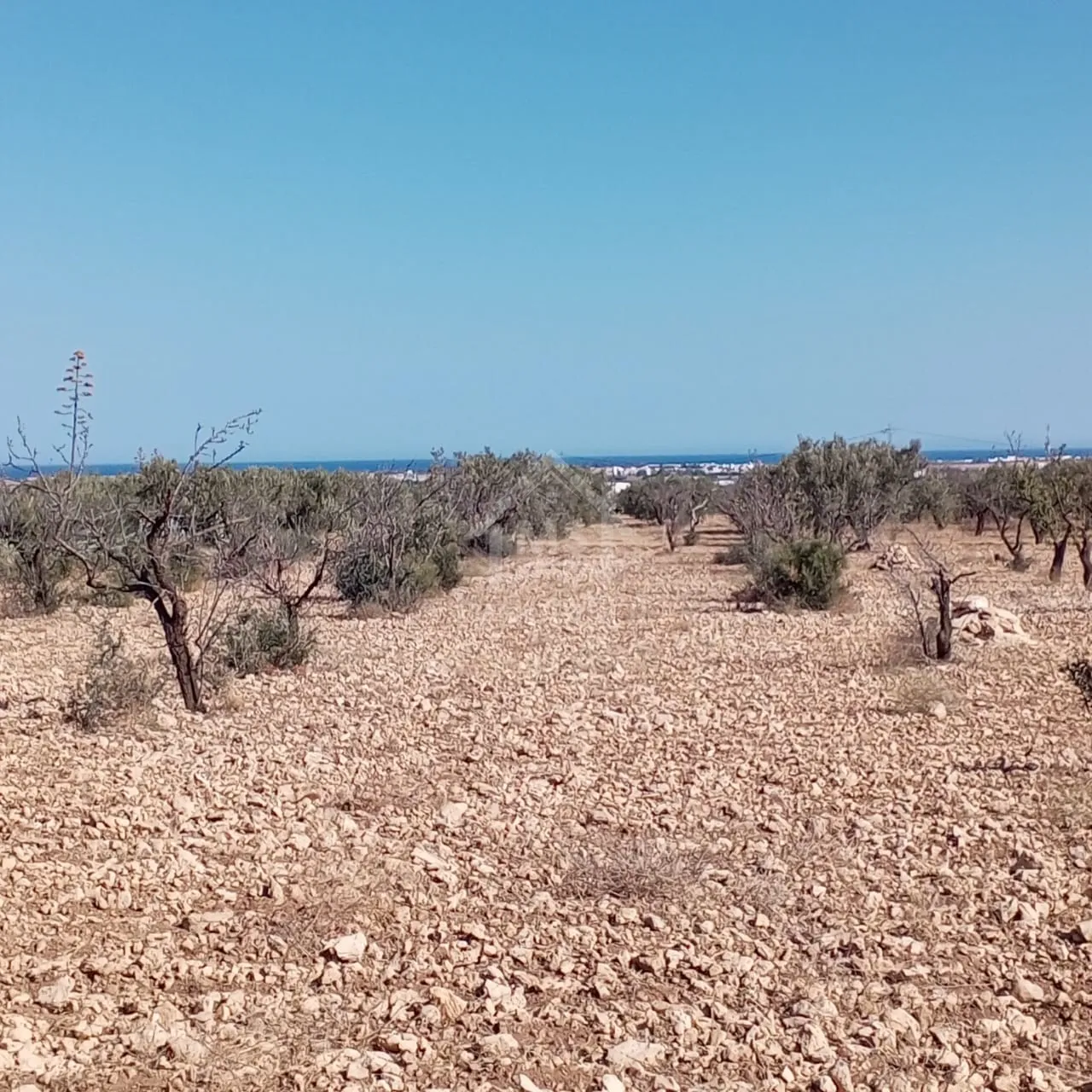  Appartement s+2 avec vue panoramique sur mer 
