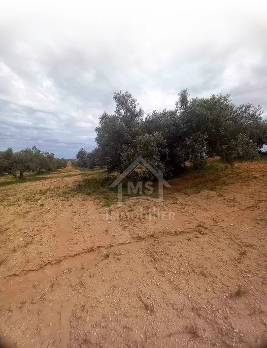  A louer bureau A2 à Sahloul 