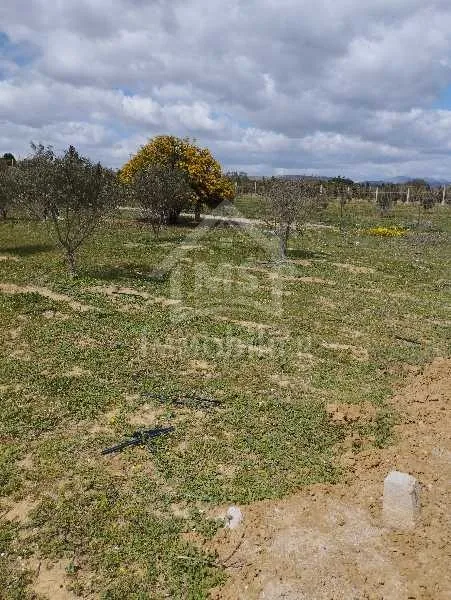  A vendre un terrain constructible R+2 situé a "Raoued plage" avec une superficie totale de 400 m² 