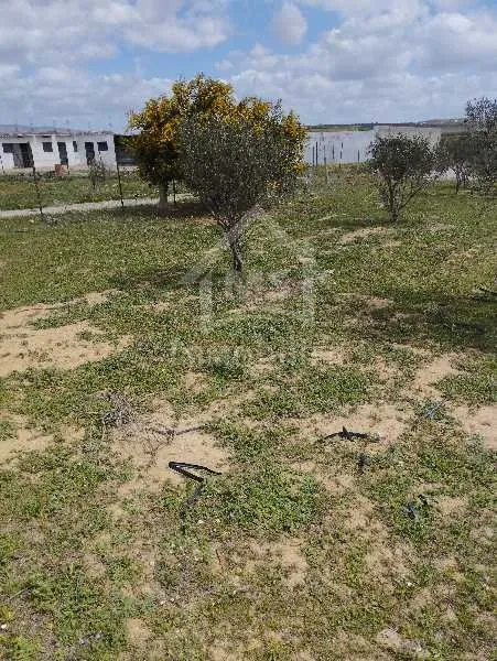  Un lot de terrain de 500 m² à vendre à 60 MD à Hammamet Sud 51355351 à Nabeul - Photo 2