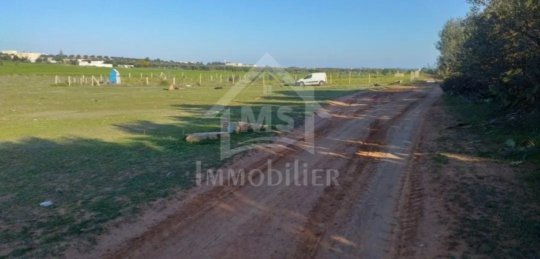  Terrain de 1000 m² à vendre à 85 MD à Hammamet Sud 51355351 à Nabeul - Photo 3