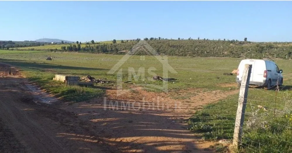  Terrain de 1000 m² à vendre à 85 MD à Hammamet Sud 51355351 à Nabeul - Photo 2