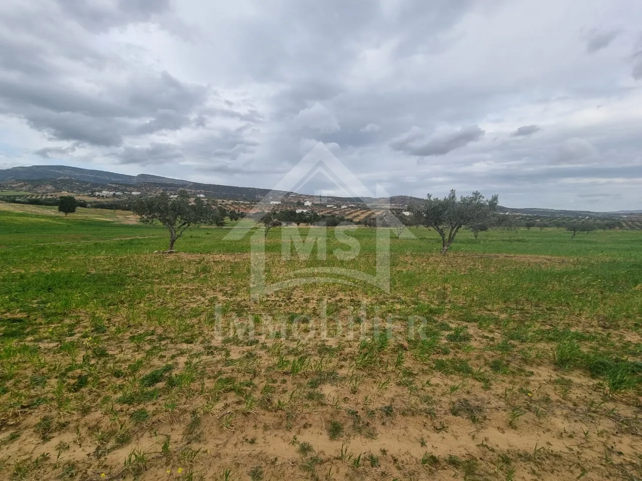  Location Jusqu'à Juin : Appartement S+2 Haut Standing à AFH Mrezga, Nabeul 