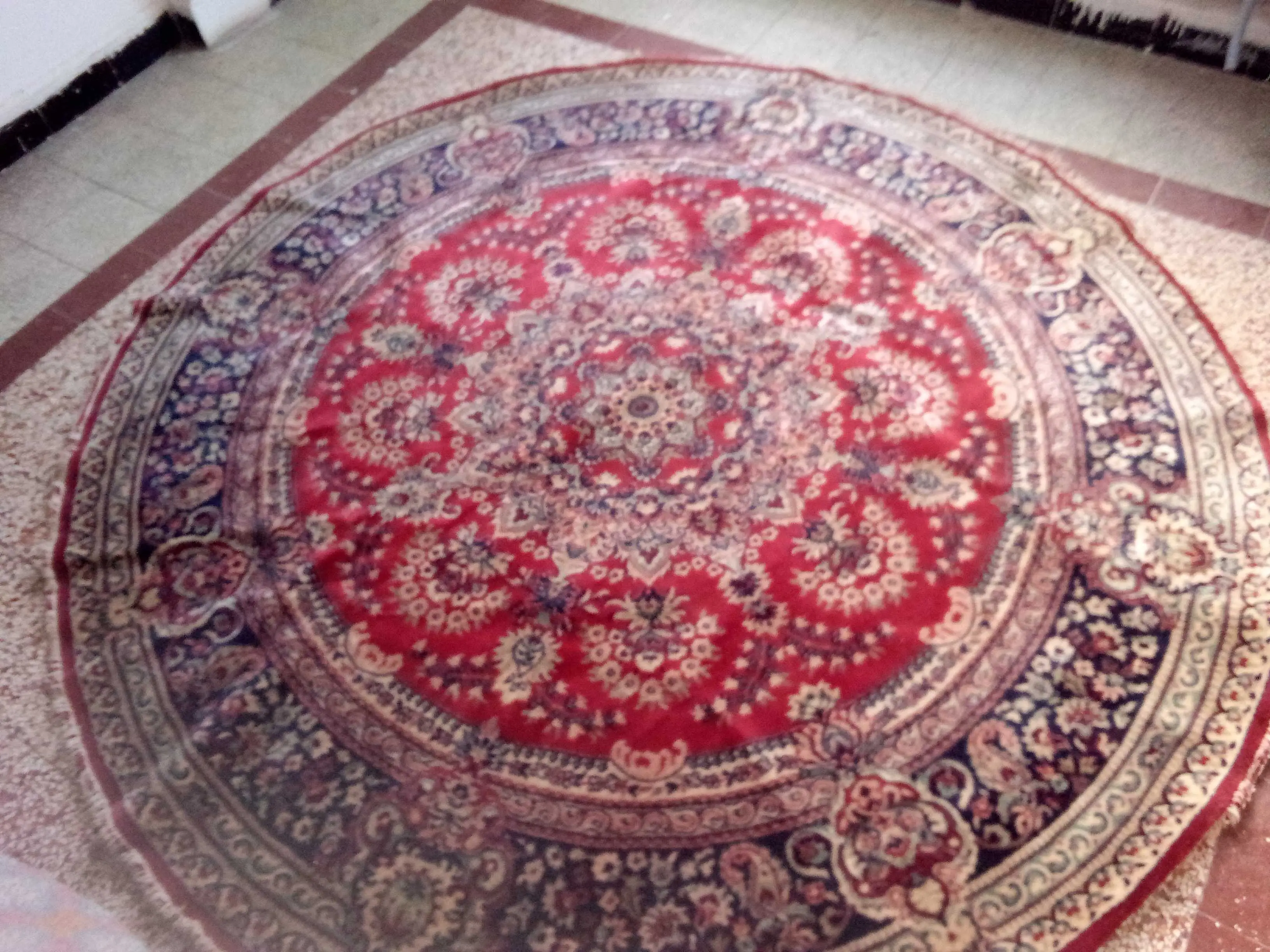  Tapis irakien à Tunis - Photo 3