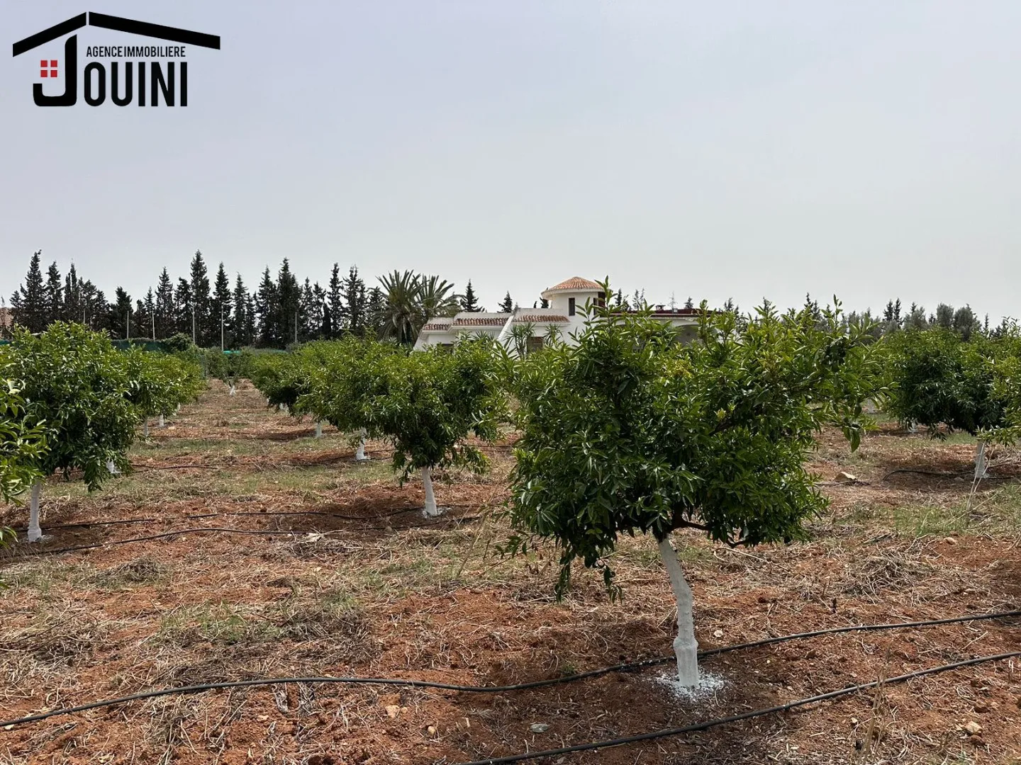  Villa De Compagne A Sidi Thabet Ariana à Ariana - Photo 2