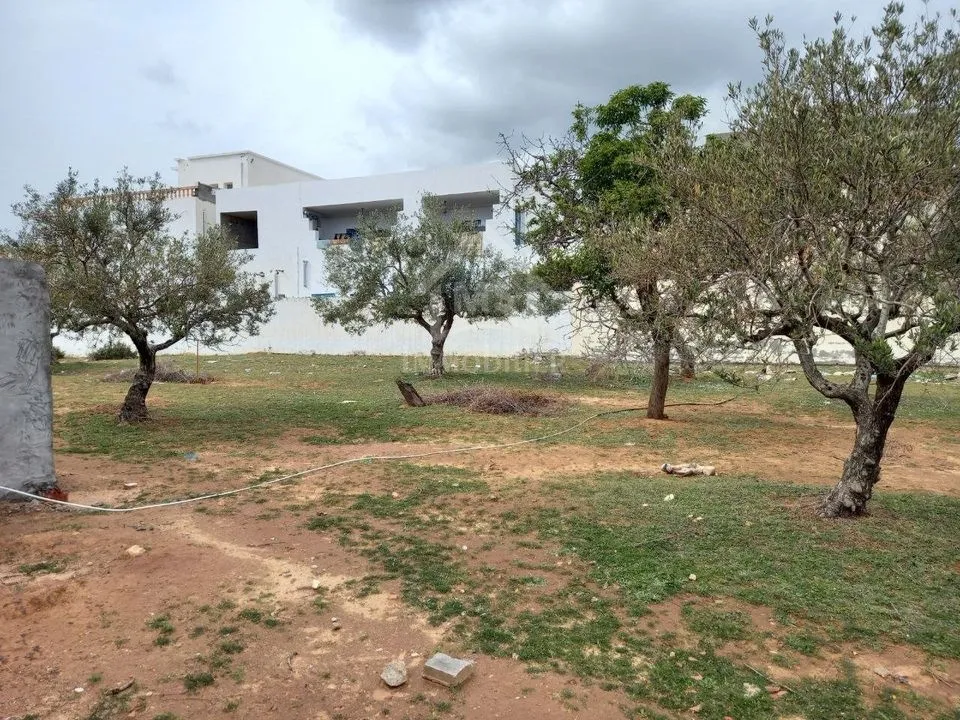  Terrain de 250 m² à Hammamet Nord à vendre 51355351 à Nabeul - Photo 3