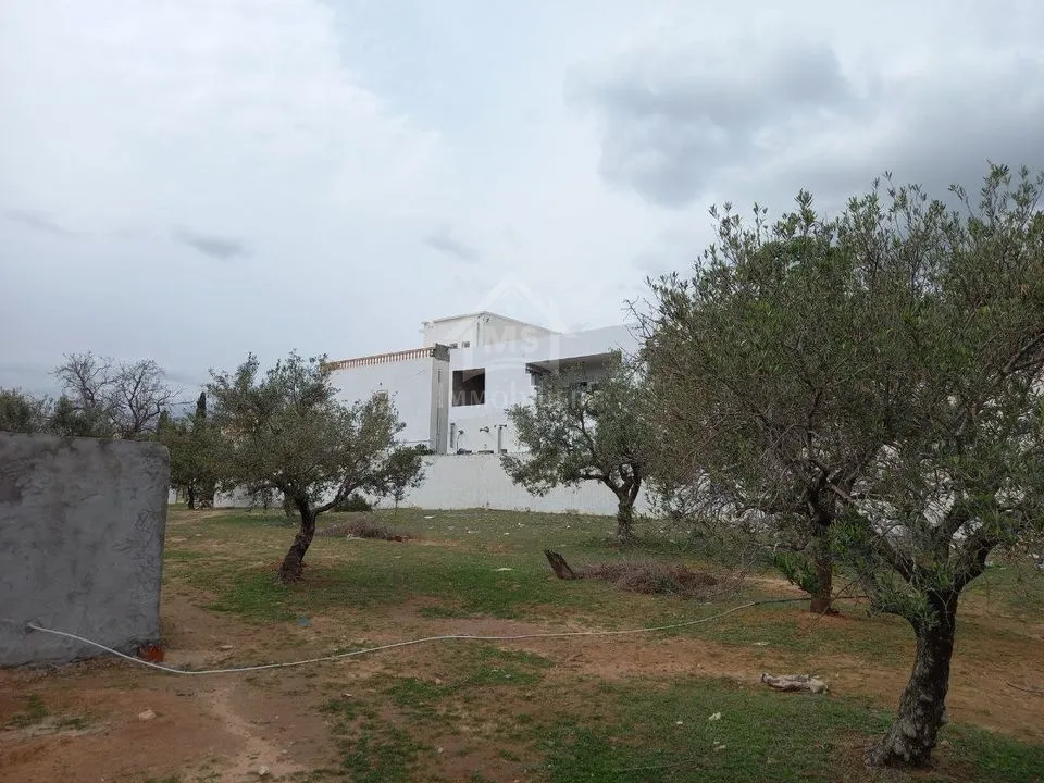  Terrain de 250 m² à Hammamet Nord à vendre 51355351 