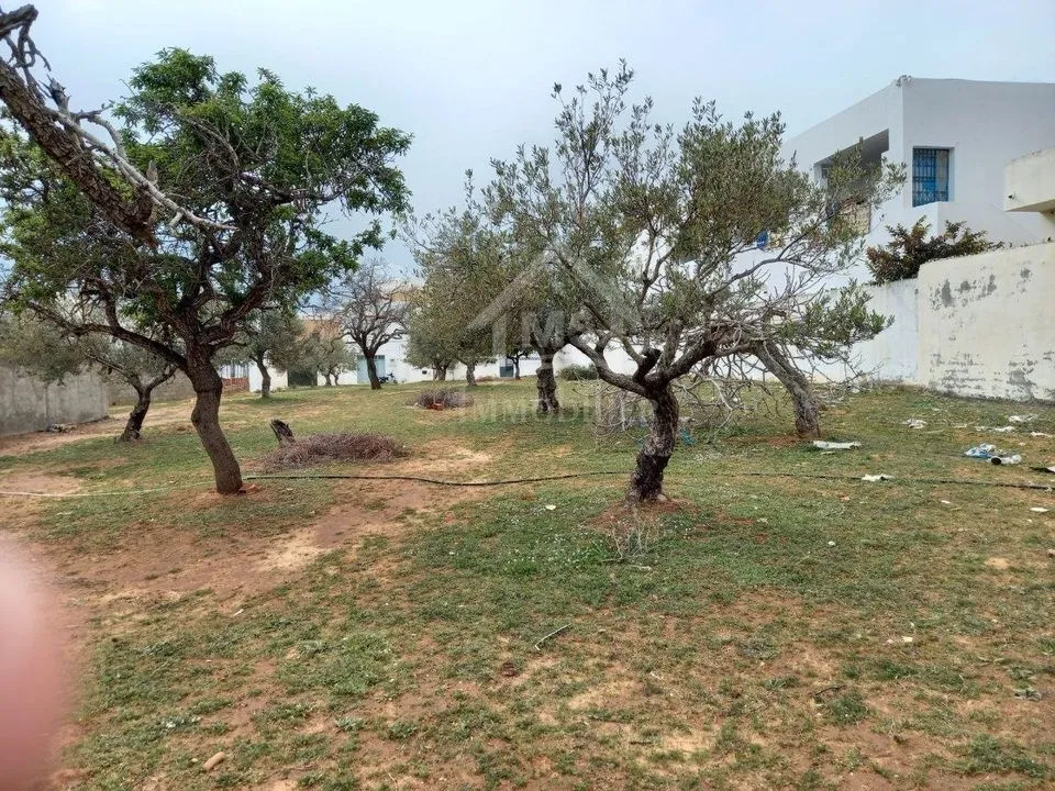  Terrain de 250 m² à Hammamet Nord à vendre 51355351 à Nabeul - Photo 2