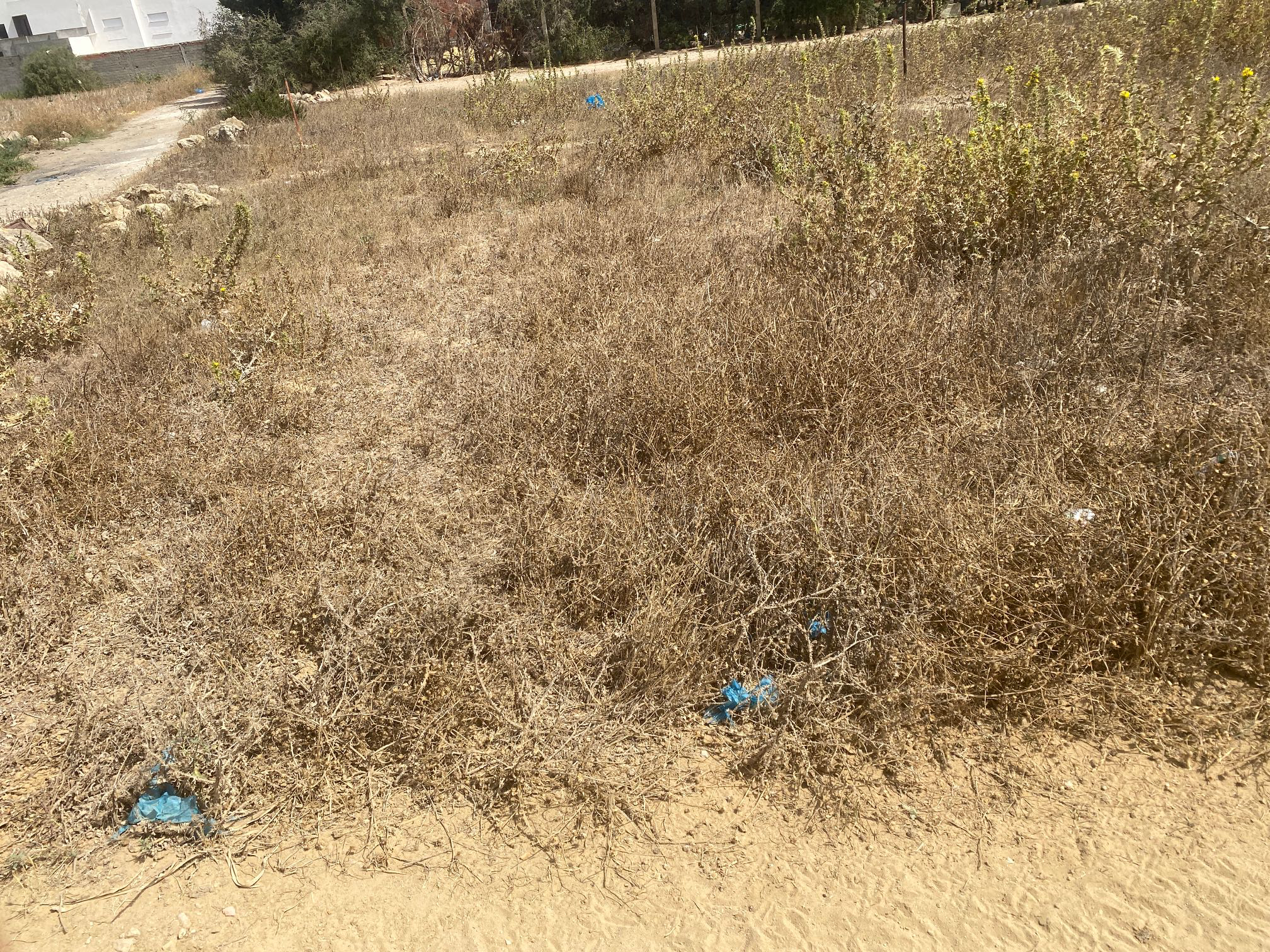 160 mètre carré a kelibia 7ay riadh à Nabeul - Photo 2