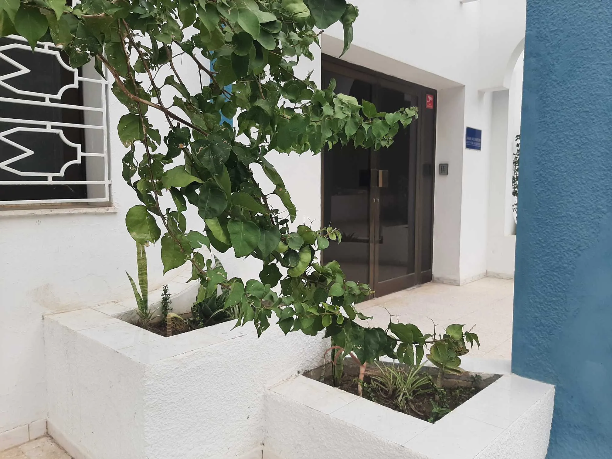     Studio s0 meublé a e