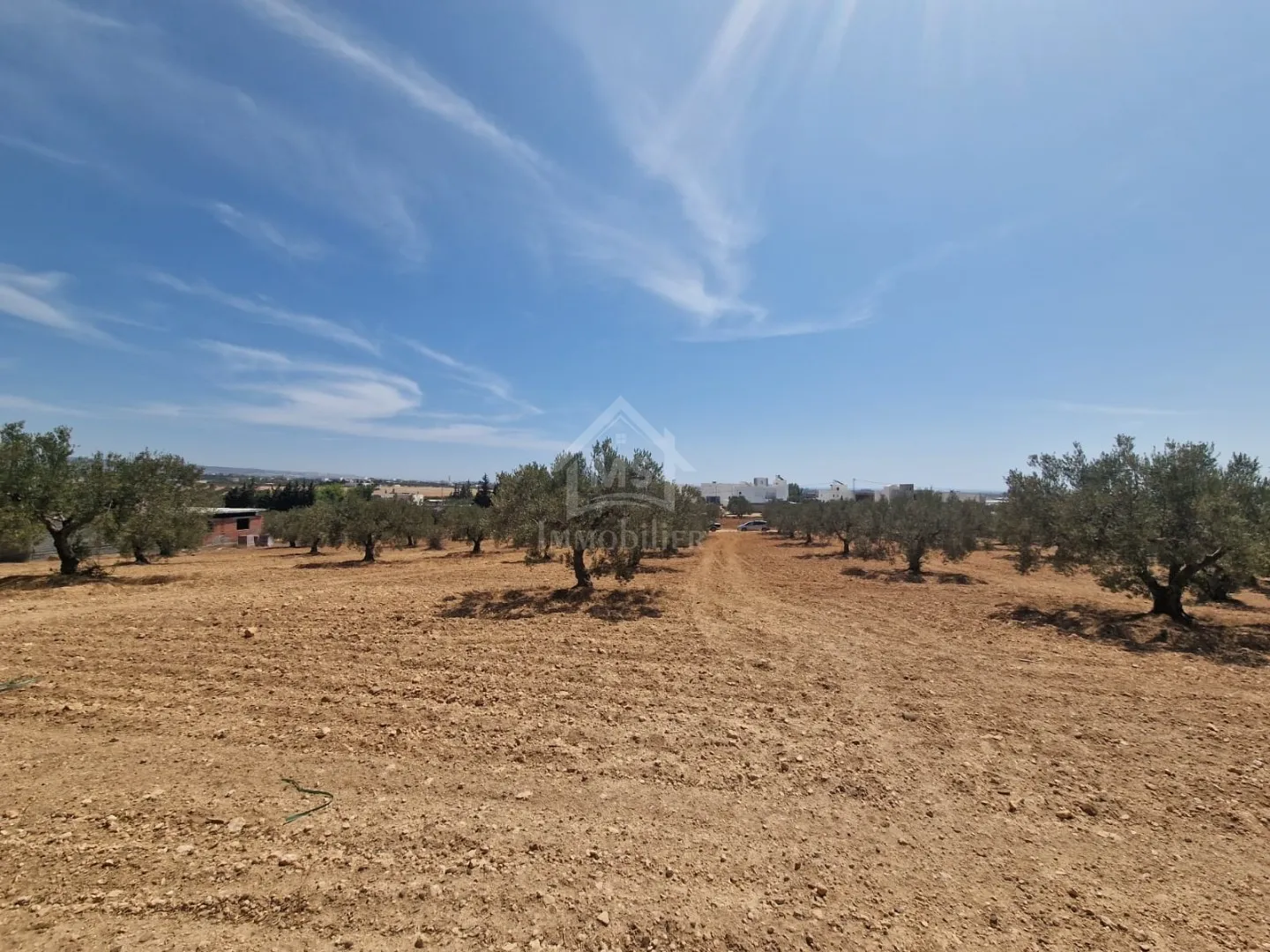  Terrain de 1000 m² à vendre à 200 MD à Hammamet Sud 51355351 à Nabeul - Photo 2