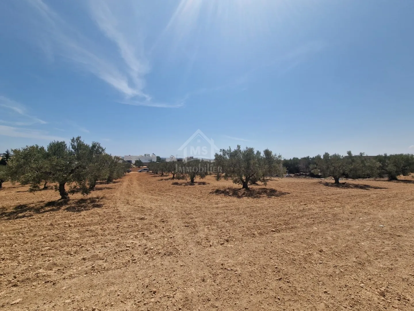  Terrain de 1000 m² à vendre à 200 MD à Hammamet Sud 51355351 à Nabeul - Photo 3