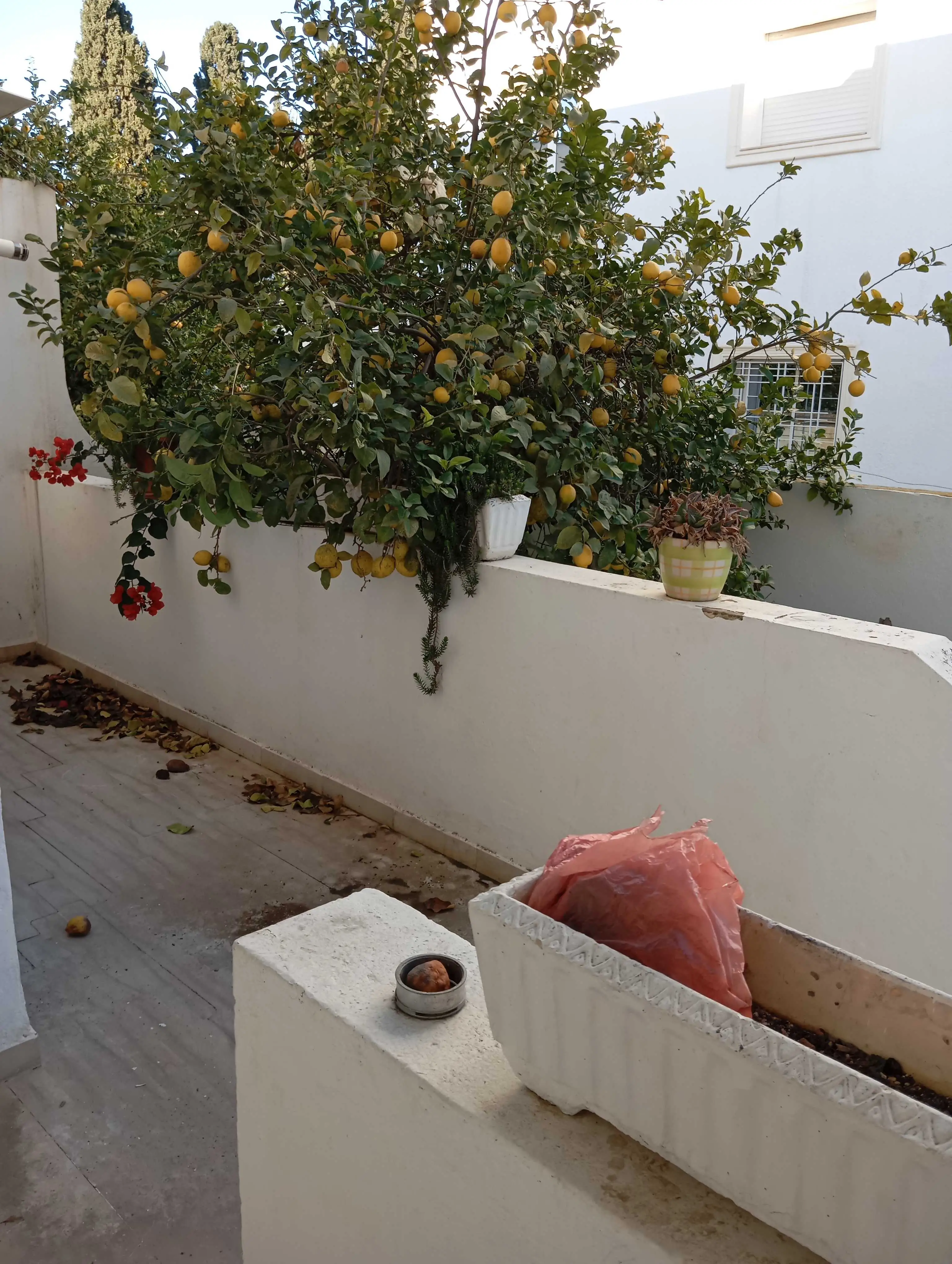  Appartement " MARIA " S+3 