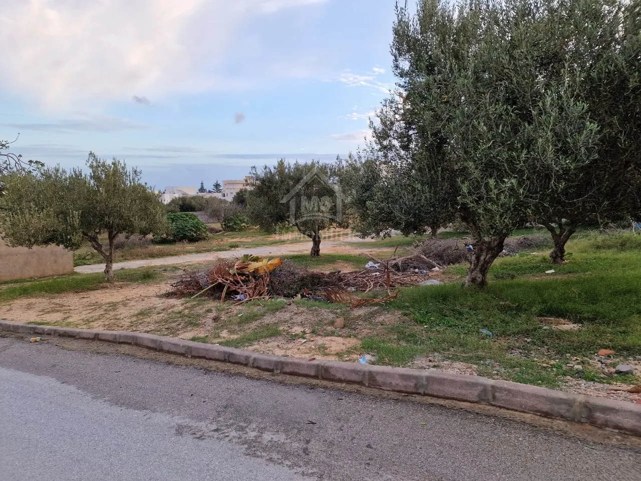  Terrain vue de mer de 1122 m² à vendre à Hammamet Nord 51355351 à Nabeul - Photo 3