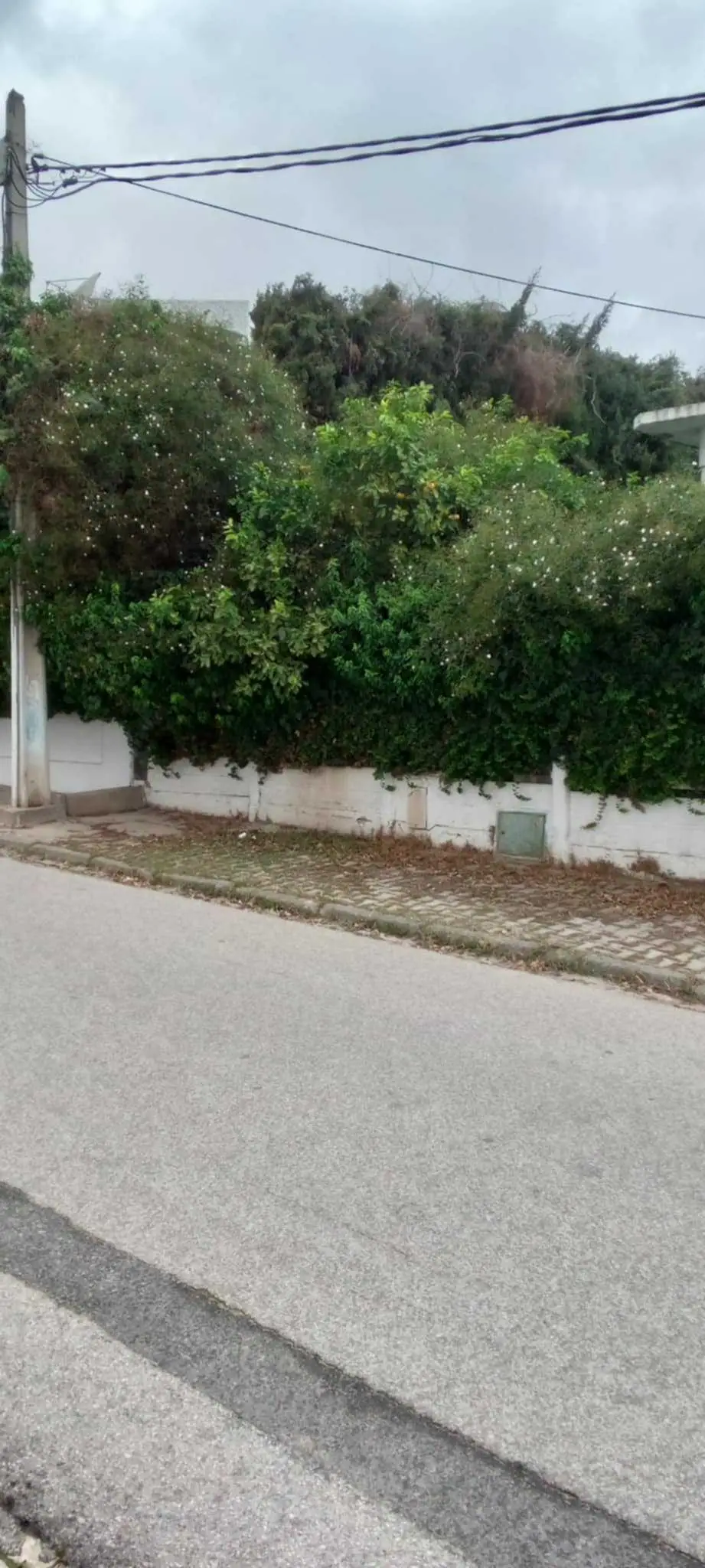  Mutuelle ville à Tunis - Photo 2