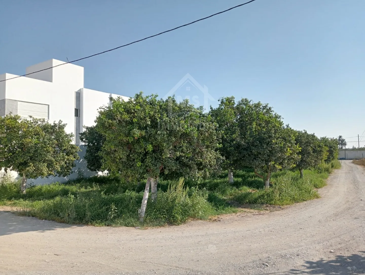  Un terrain de 423 m² dans la zone de Sidi Mahressi à vendre 51355351 à Nabeul - Photo 3