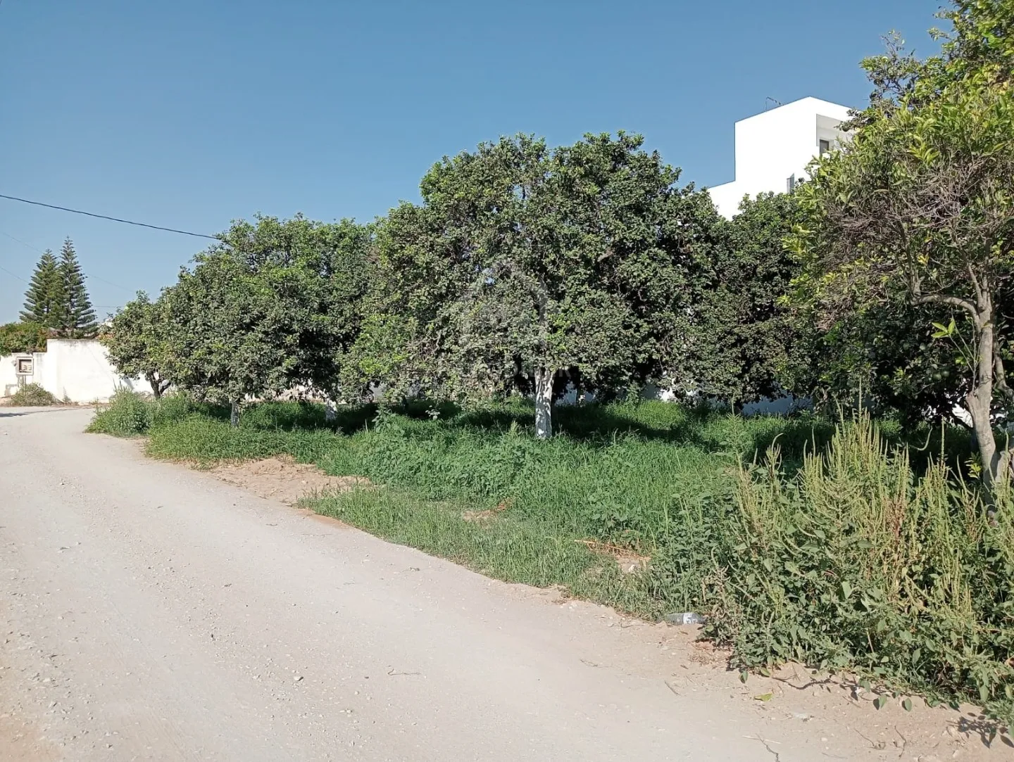  Un terrain de 423 m² dans la zone de Sidi Mahressi à vendre 51355351 à Nabeul - Photo 2
