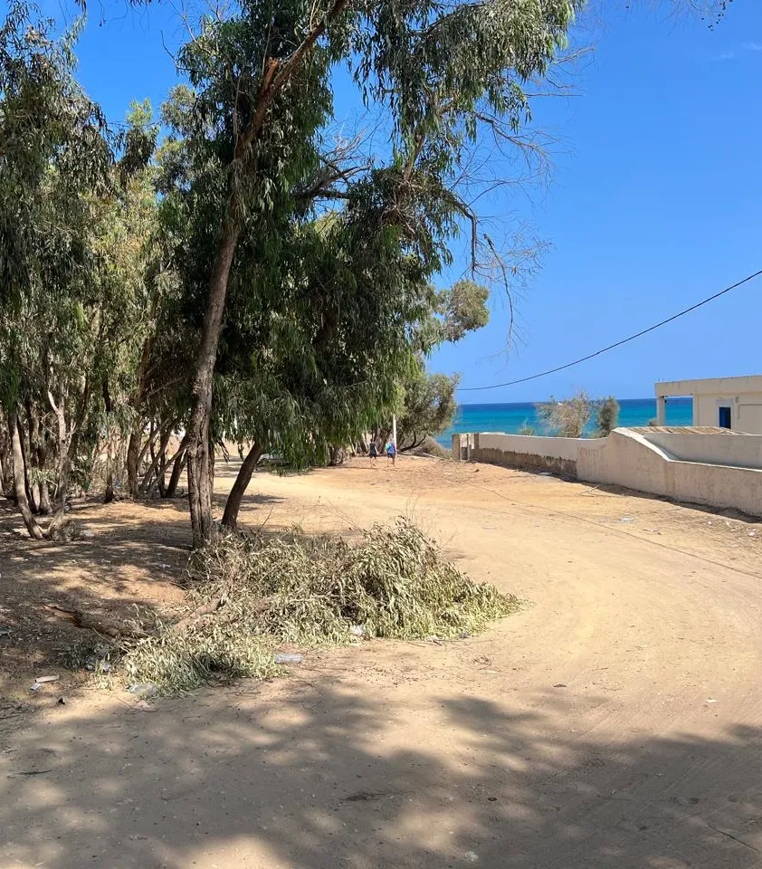    V403 villa sila hammamet