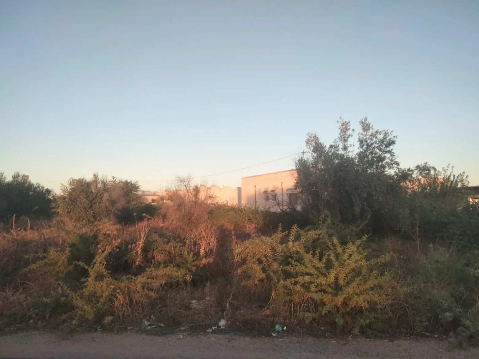  صفاقس 