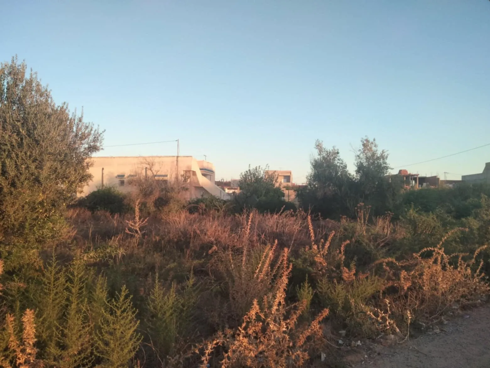  terrain premiere position à Tunis - Photo 2